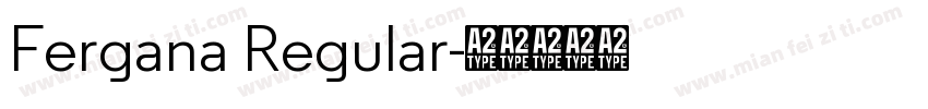 Fergana Regular字体转换
